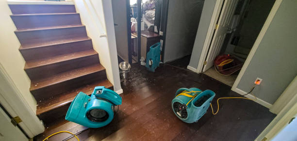 Best Fire Damage Restoration  in Galveston, TX