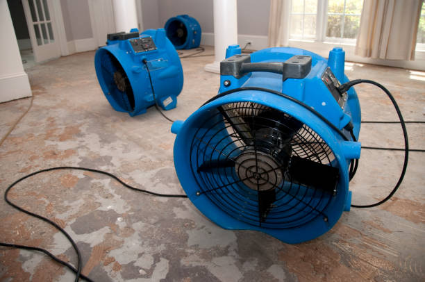 Best Flood damage cleanup  in Galveston, TX
