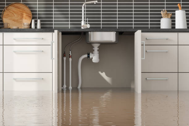 Best Water damage restoration near me  in Galveston, TX